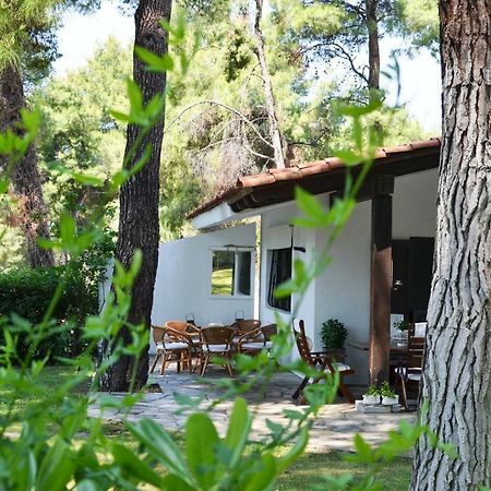 Villa Irini In Sani Sani  Exterior photo